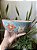 Tigela/ Bowl Gatinho e corações Média - Imagem 4