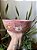 Tigela/ Bowl Gatinho e corações Média - Imagem 5