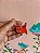 Broche Raposinha Vermelha - Imagem 1