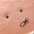 BASE MICRODERMAL COD:101 - Imagem 2