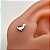GATO DE COSTAS COD:147 - Imagem 2