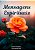 LIVRO MENSAGENS ESPIRITUAIS - Imagem 1