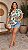 Blusa Limited 2 Plus SIze - Imagem 1