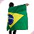 Bandeira do Brasil - Imagem 4