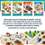 Flip City (Linha Pocket) - Imagem 4