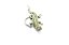 BROCHE Modelo:  SALAMANDRA Strass - Imagem 1