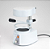 Plastificadora Vácuo Automático com Anti Bolhas Plastiker Kerbus 110v - Imagem 5