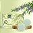 Kit Bloom Sabonetes Perfumados Alecrim e Sálvia – 2 Unidades – Frescor Natural - Imagem 1