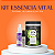 Kit Volume Perfeito - Corpo Textura Com Controle - Light Hair - Imagem 2