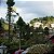 Campos do Jordão - Semana Santa- 4 dias / Entrada R$ 213,60 + 9 X R$174,04 - Imagem 1
