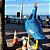 Porto de Galinhas - Imagem 3