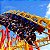 Beto Carrero World - Imagem 4