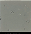 Vinilico Manta Homogêneo 2mm / 180 Plus-Onix 360 / 20x2 m - Imagem 9