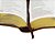 Bíblia Bilingue - Português (NAA) e Inglês (ESV) - Imagem 2
