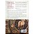 Lendo Apocalipse com Responsabilidade, Michael J. Gorman - Thomas Nelson - Imagem 2
