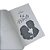 Box Cris e Ted - Vol 1, 2 e 3 - Robin Jones Gunn - Betânia - Imagem 7