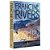 O Som do Despertar - Francine Rivers - Thomas Nelson - Imagem 3