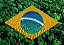 Bandeira Brasil - Imagem 1