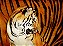 Tigre 100x140 cm - Imagem 1