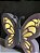 Luminária Borboleta com Strass e trio de borboletas mini - Imagem 5