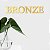 Espelho Decorativo "Bronze" Em Acrílico Espelhado Dourado - Imagem 1