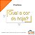 Espelho Qual a cor de hoje? - Acrílico Espelhado Dourado - Imagem 3