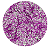 Glitter Flocado Roxo Lunar - Imagem 1