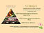Vela Perfumada - Citrique New - 180 g - Imagem 2