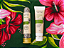 Kit Chita Energizante - Escalda- pés + Creme para Pés e Pernas - Imagem 2