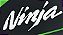 ADESIVO CARENAGEM LAT NINJA - Imagem 1