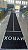 Pista de Grama Sintética para HYROX Raiada com Endzone - 16,5mt C x 2mt L x 20mm - Imagem 2