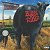 LP Blink-182 ‎– Dude Ranch - Imagem 1