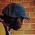 LP Milton Nascimento – Paixão E Fé - Imagem 1