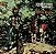 LP Creedence Clearwater Revival ‎– Green River - Imagem 1