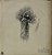 LP Naire – Naire - Imagem 1
