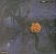 LP The Moody Blues – On The Threshold Of A Dream - Imagem 2