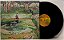 LP The Hollies – Distant Light - Imagem 4