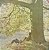 LP John Lennon / Plastic Ono Band – John Lennon / Plastic Ono Band - Imagem 1