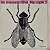 LP La Mosca (The Fly) – Npk 2 - Imagem 1