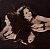 LP Gal Costa – Plural - Imagem 1