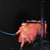 LP Black Sabbath – Paranoid - Imagem 2