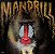 LP Mandrill – Mandrill - Imagem 1
