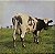 LP Pink Floyd – Atom Heart Mother - Imagem 1