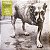 LP Alice In Chains – Alice In Chains - 1995/2026 - Tripod - Imagem 1