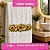 Transfer Termocolante DTF Barrado 27x11cm Floral - Imagem 7