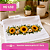 Transfer Termocolante DTF Barrado 27x11cm Floral - Imagem 4