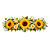 Transfer Termocolante DTF Barrado 27x11cm Floral - Imagem 1