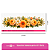 Transfer Termocolante DTF Barrado 27x11cm Floral - Imagem 3
