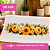 Transfer Termocolante DTF Barrado 27x11cm Floral - Imagem 4