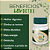 Lev Detox revendedor pack 10 unidades - Imagem 2